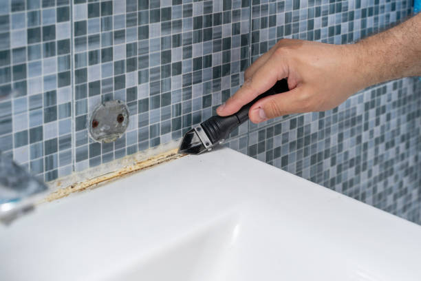 Best Professional Mold Removal  in Jacksonville Beach, FL